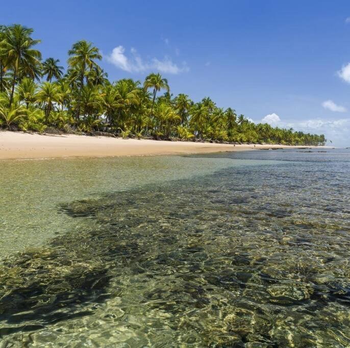 White House - Taipu De Fora * Barra Grande (Bahia)